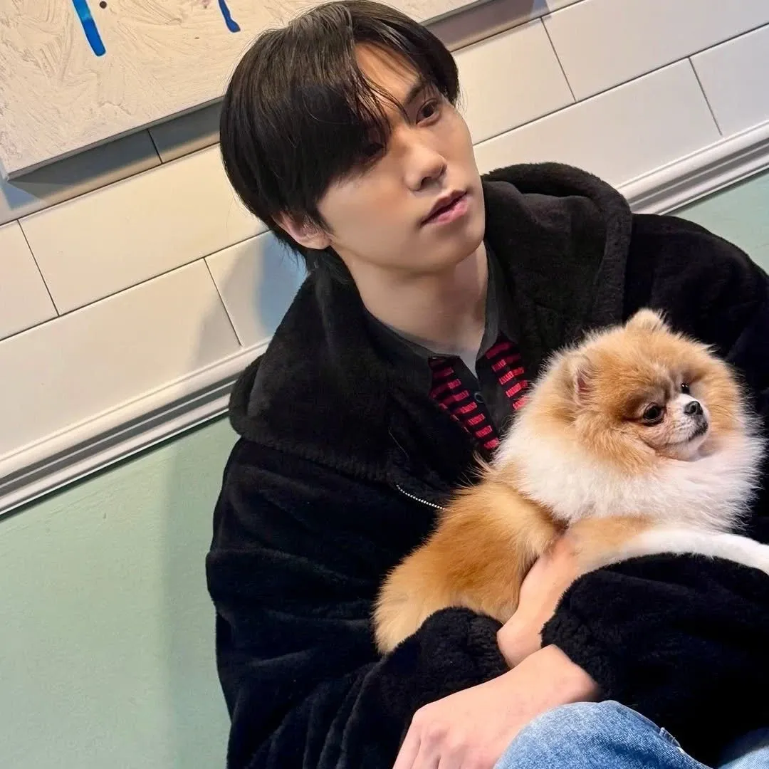 Recent activity shot of Rocky