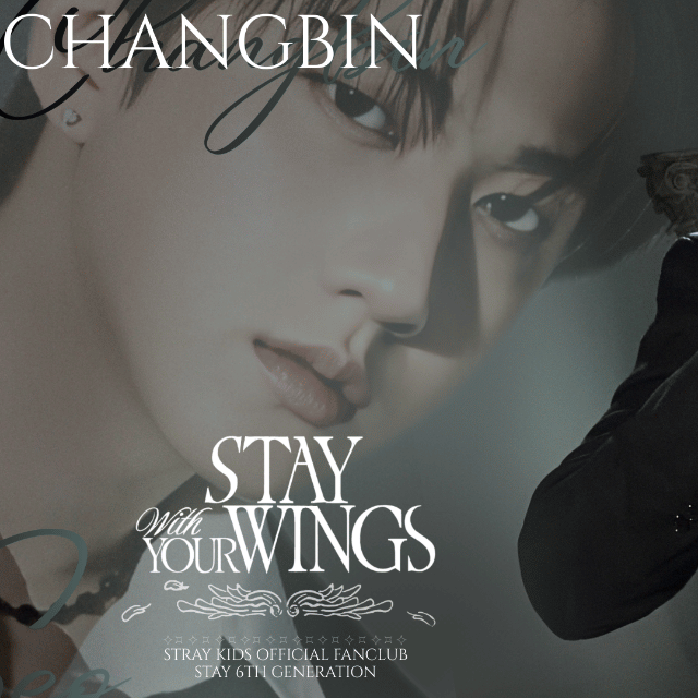 チャンビン (Stray Kids)ファンが撮った瞬間