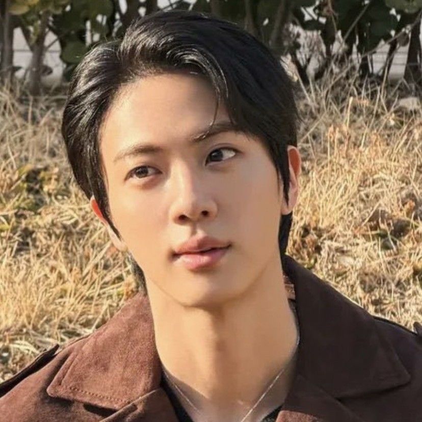 Recent activity shot of Jin (BTS)