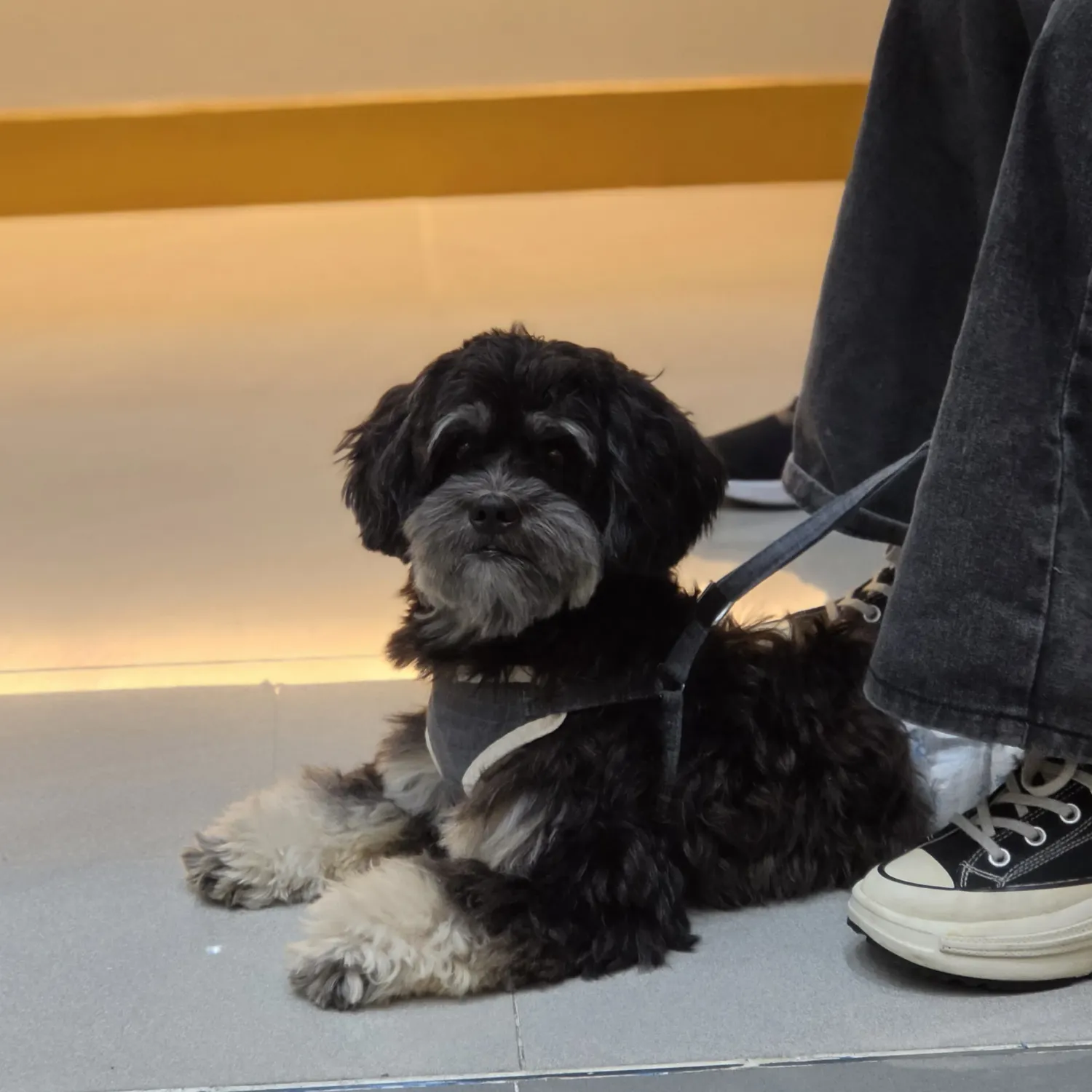 Foto aktivitas terbaru SEVENTEEN