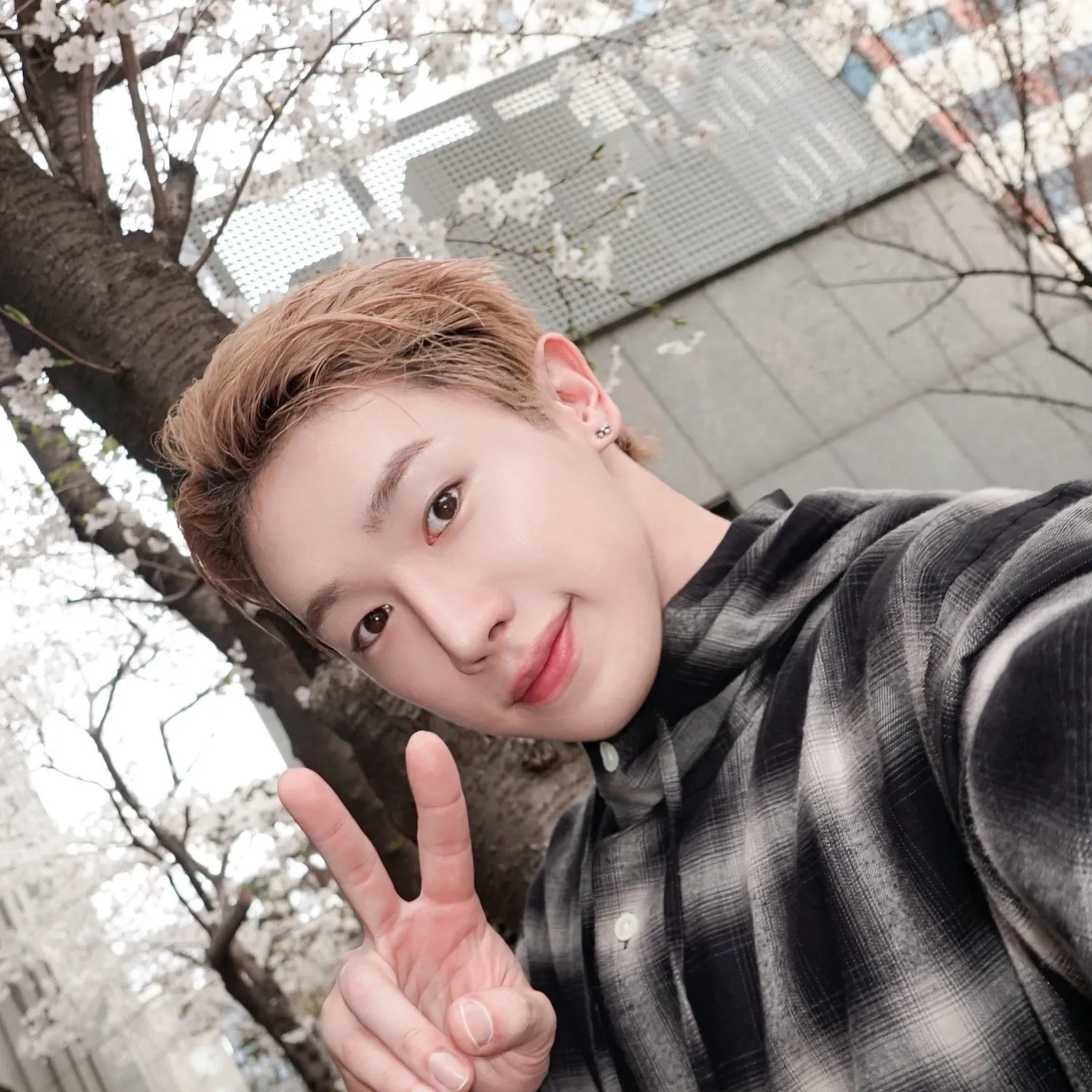 ウォノファンが撮った瞬間