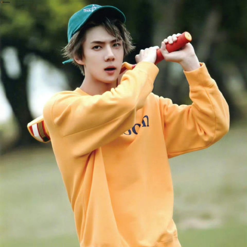 세훈 (EXO) 팬이 찍은 순간