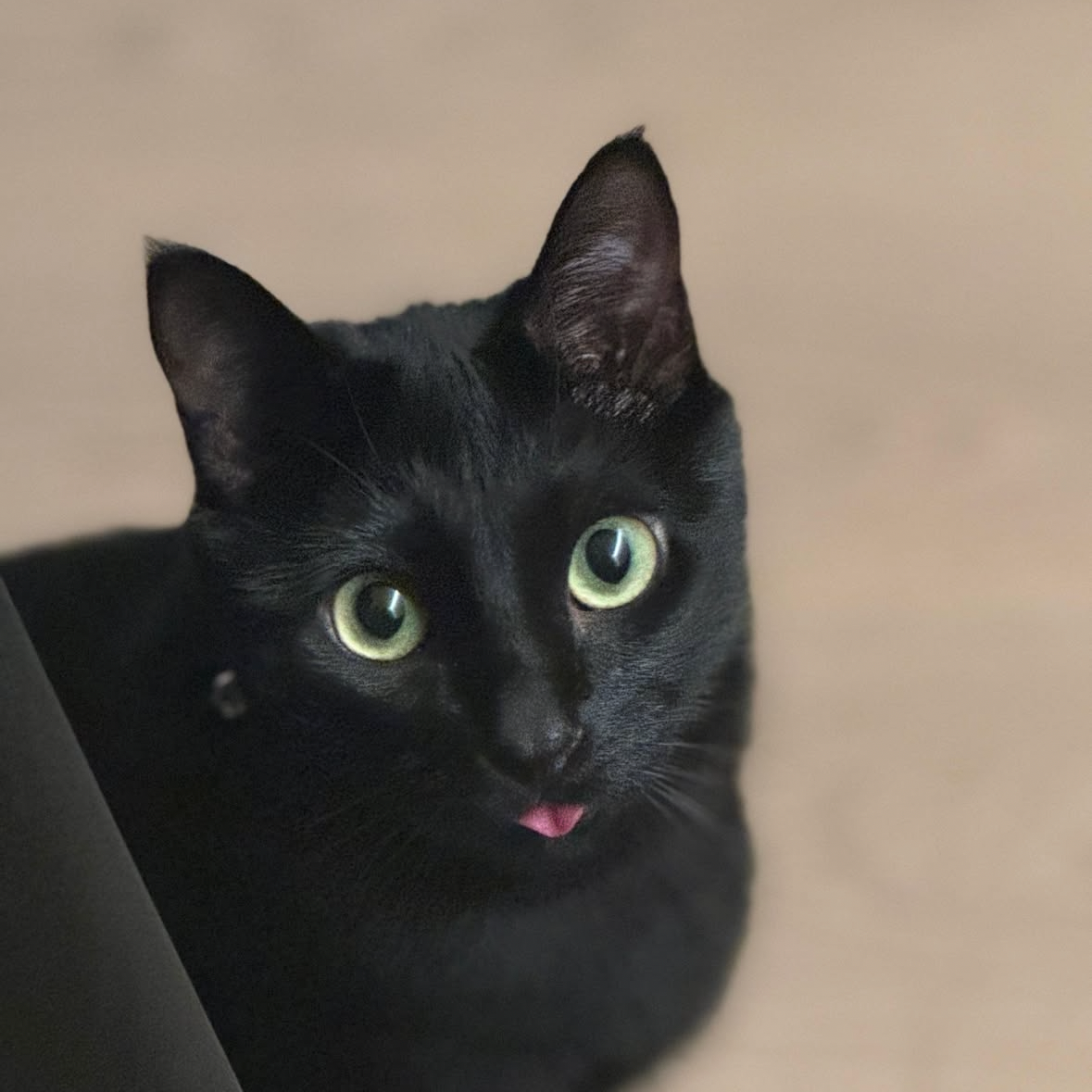 SUGA (BTS)の最新写真