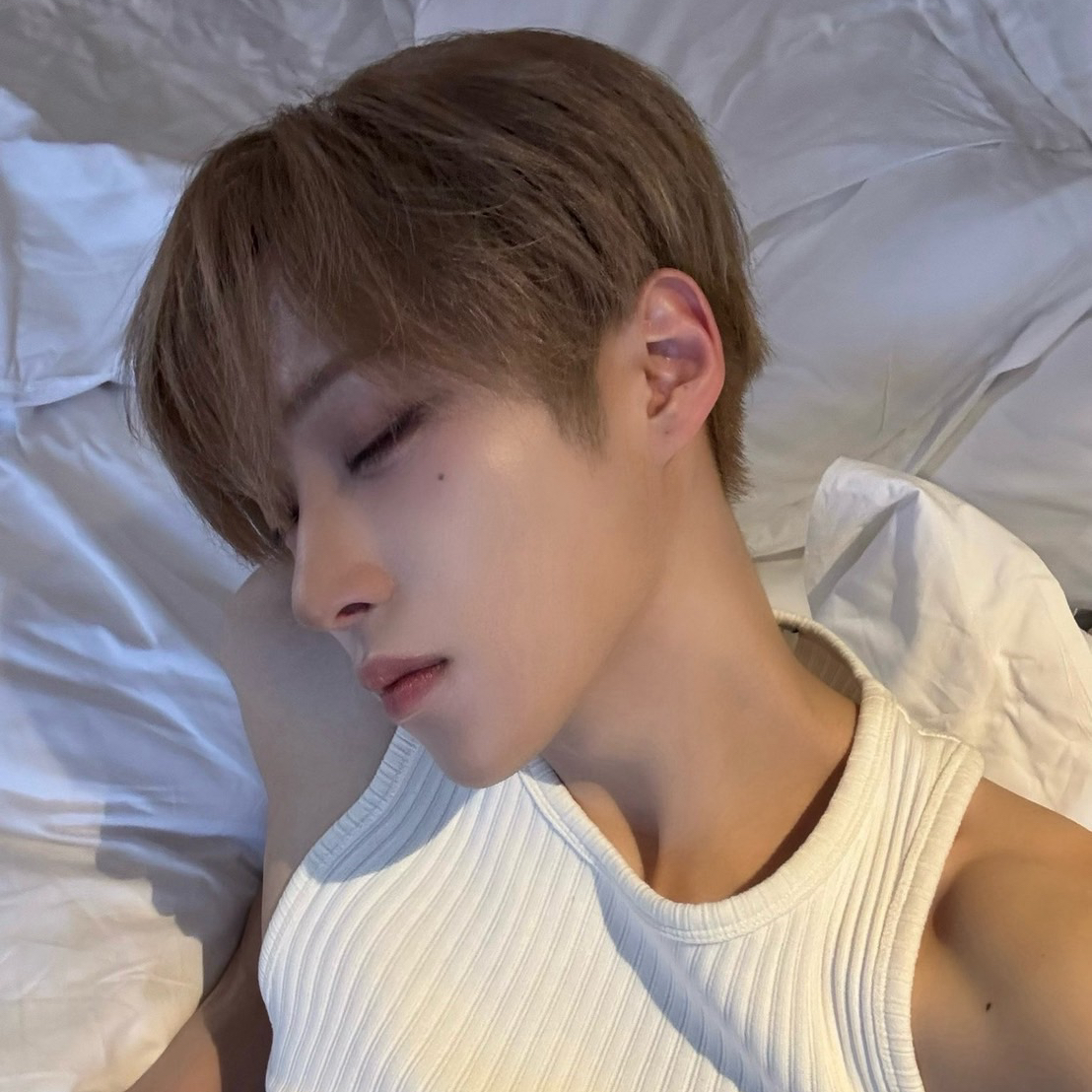 Arno (ALPHA DRIVE ONE)の最近の活動写真