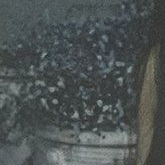 Recent activity shot of Kim Garam