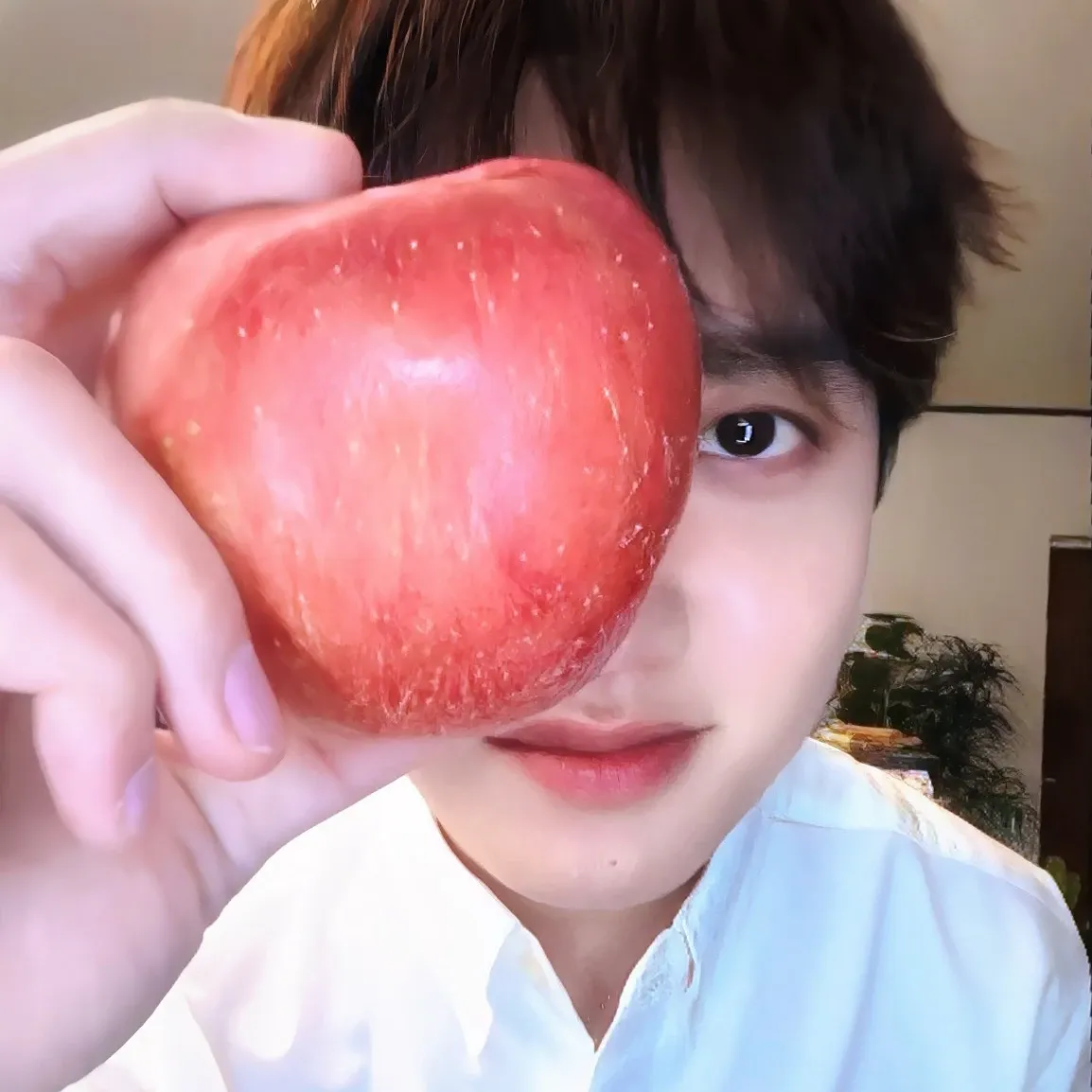 디오 (EXO) 최근 활동샷