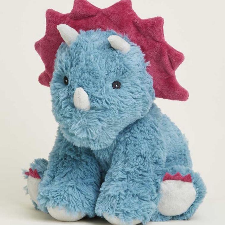 Momo (TWICE)粉絲拍下的瞬間