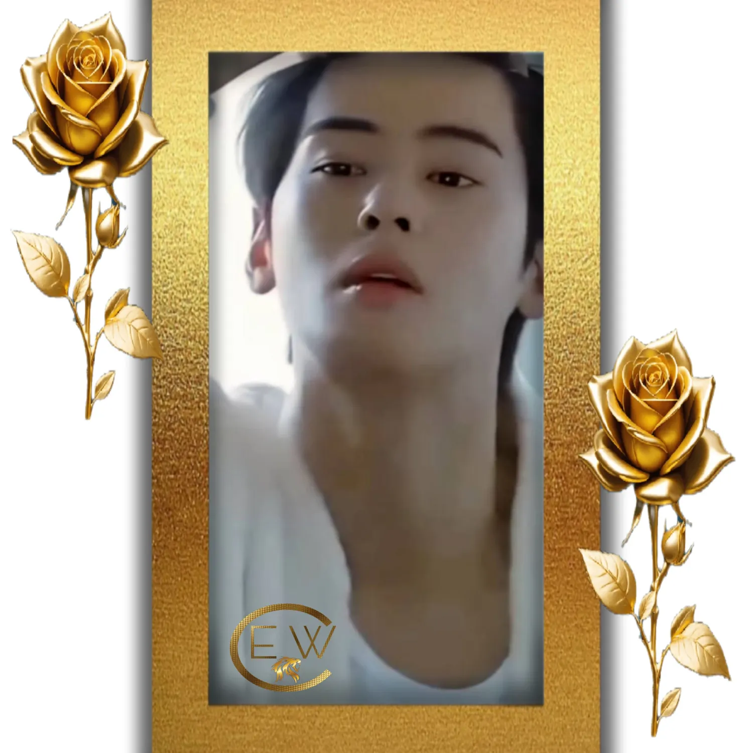 A moment captured by Eunwoo (ASTRO)'s fan