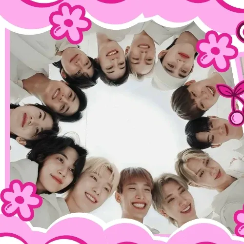 세븐틴 팬이 찍은 순간