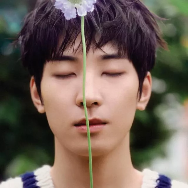 Recent activity shot of Wonwoo (SEVENTEEN)