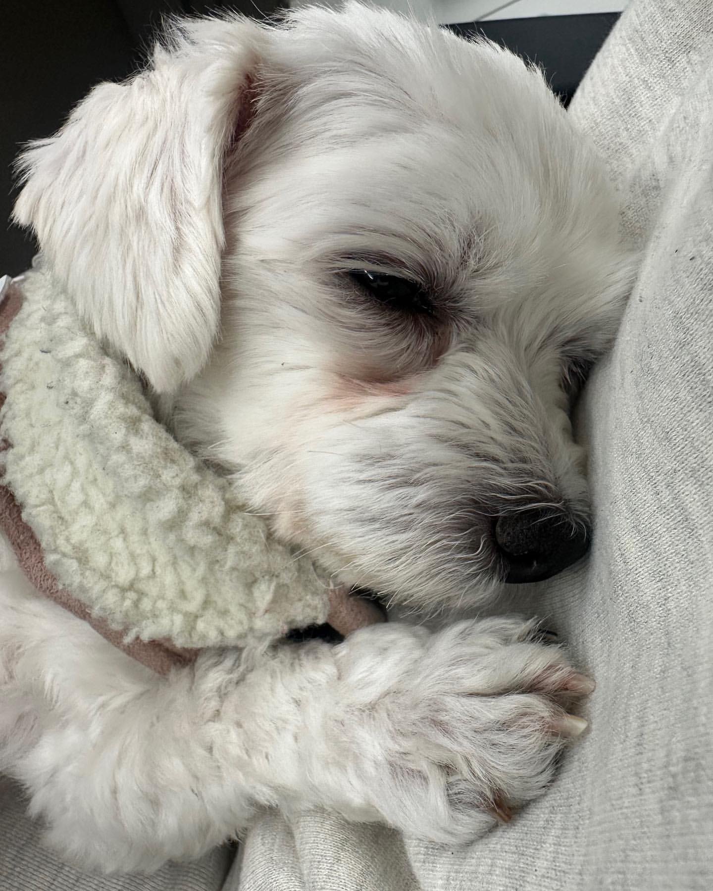 Must-see popular post of 자유게시판, your favorite