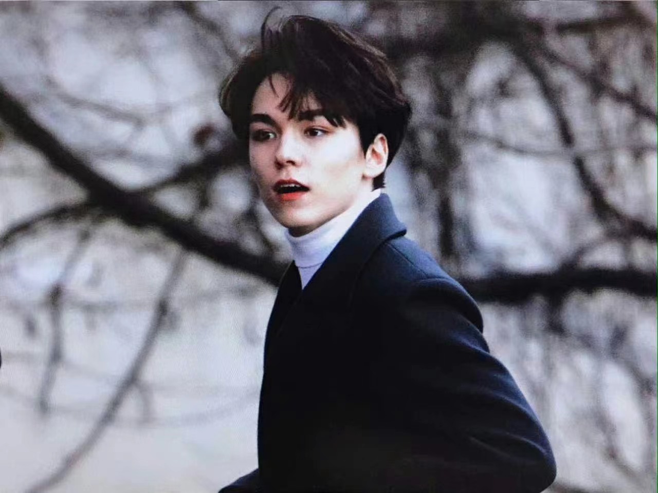 버논_세븐틴