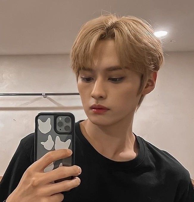 A moment captured by Lee Know (Stray Kids)'s fan