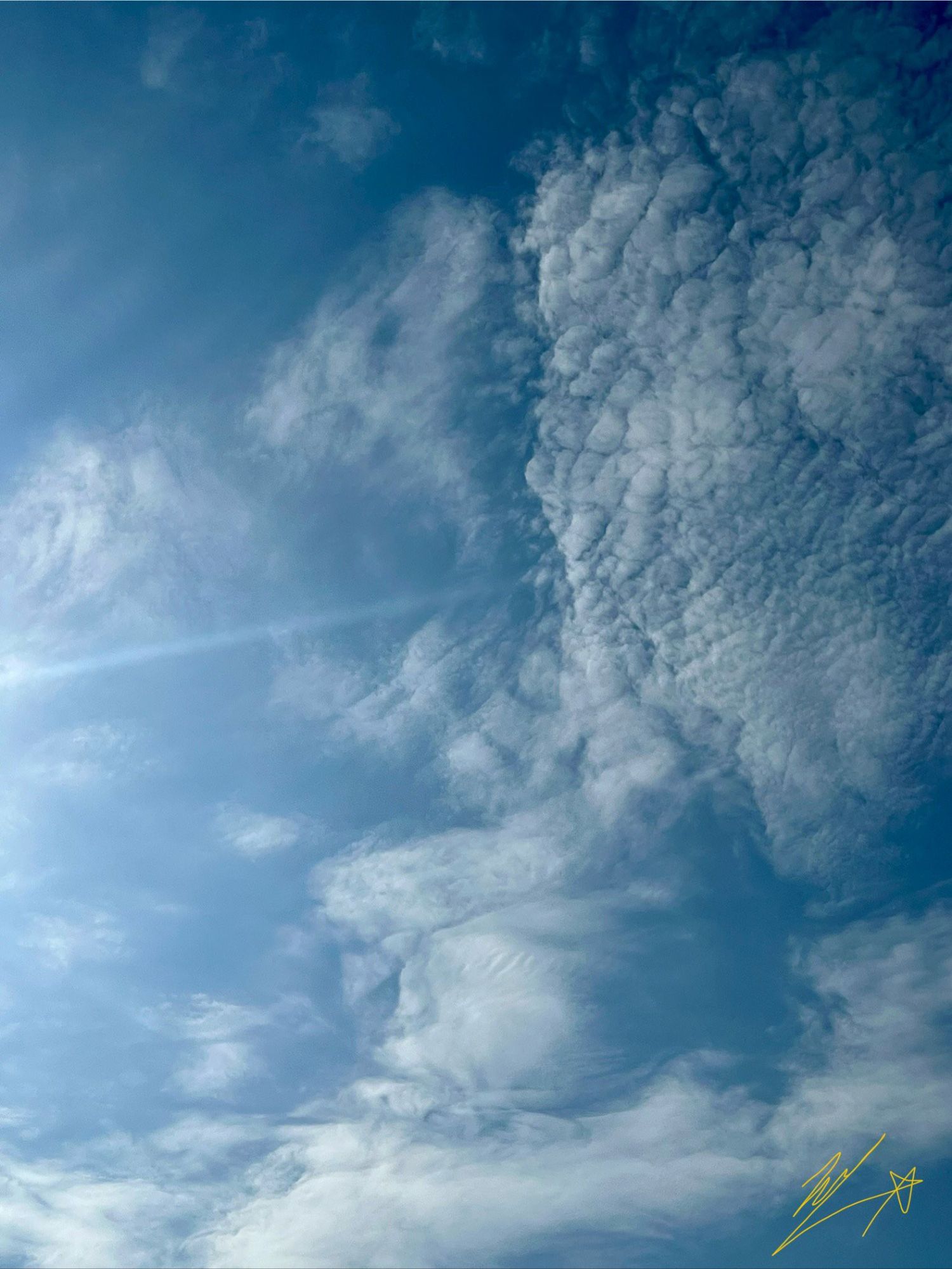 EXO 팬이 찍은 순간