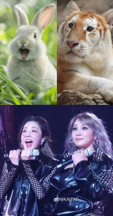 Fan-made special wallpaper for Sandara Park (2NE1)