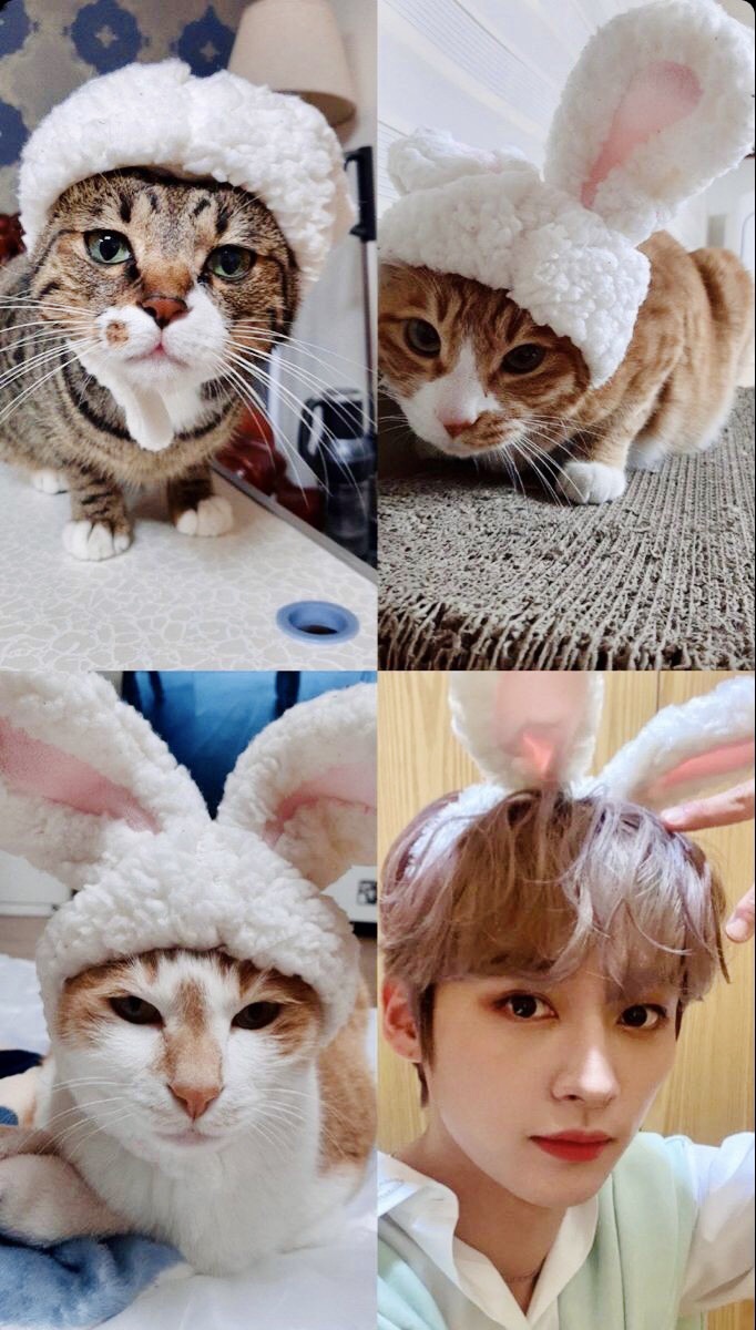 Behind-the-scenes cut of Lee Know (Stray Kids)