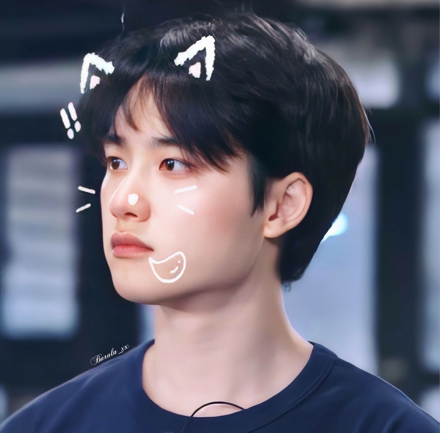 A moment captured by EXO's fan