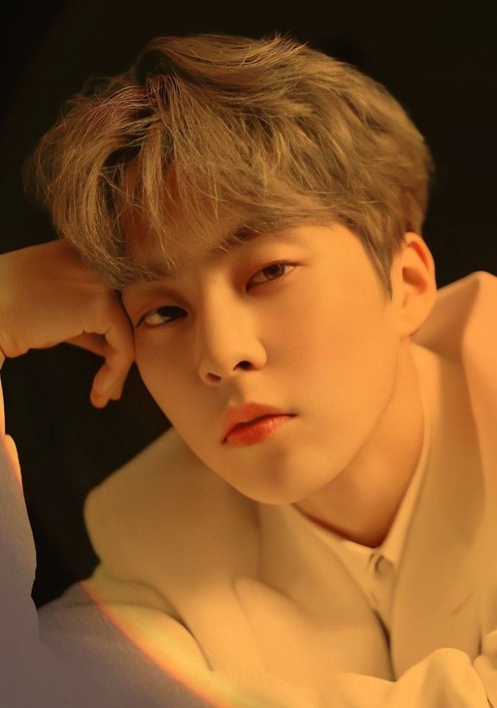 community_articles_contents