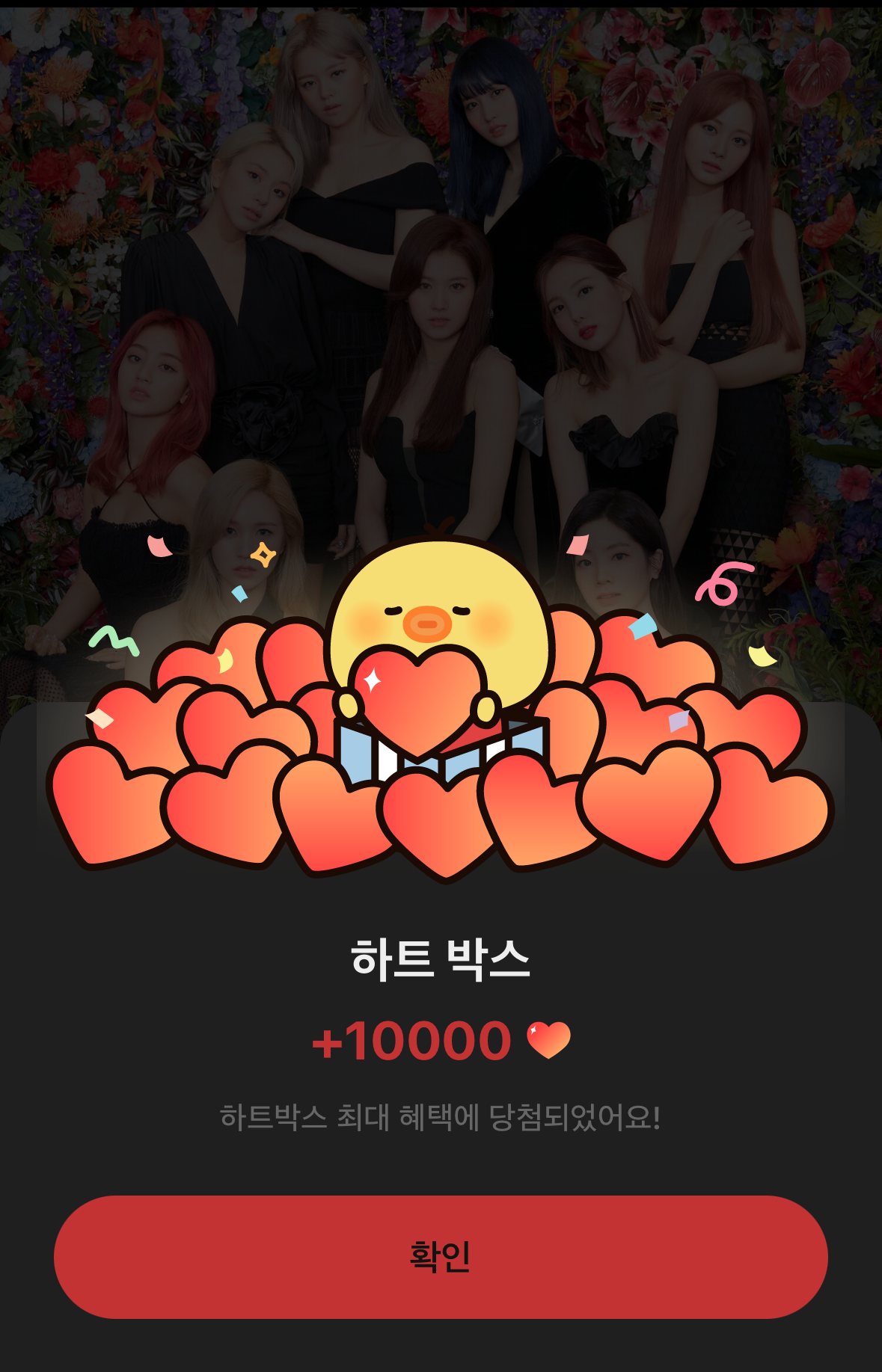 TWICE의 최신 사진