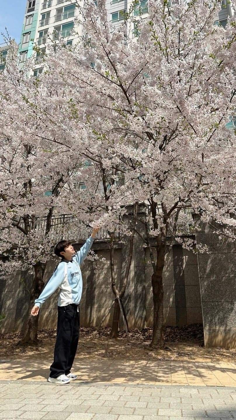 Today's most popular wallpaper in the Kim Taerae (ZEROBASEONE) community