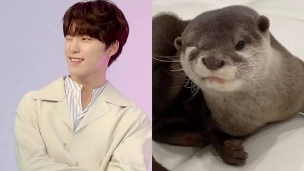 A moment captured by Dino (SEVENTEEN)'s fan