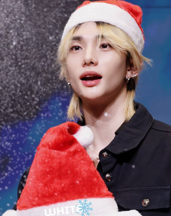 Merry Christmas │ Stray Kids ヒョンジン コミュニティ │ 最愛ドル