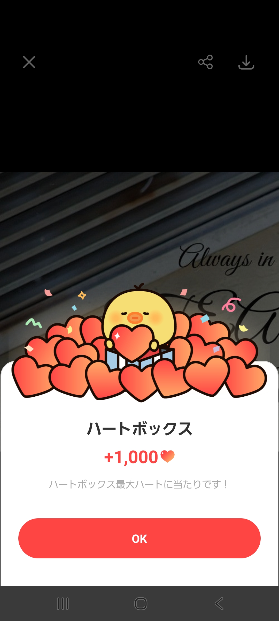 The most beloved wallpaper among Yuma (&TEAM)'s fans