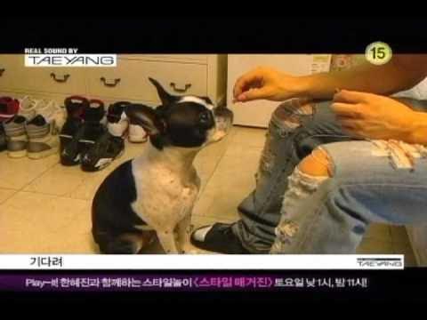 Behind-the-scenes cut of Taeyang (BIGBANG)