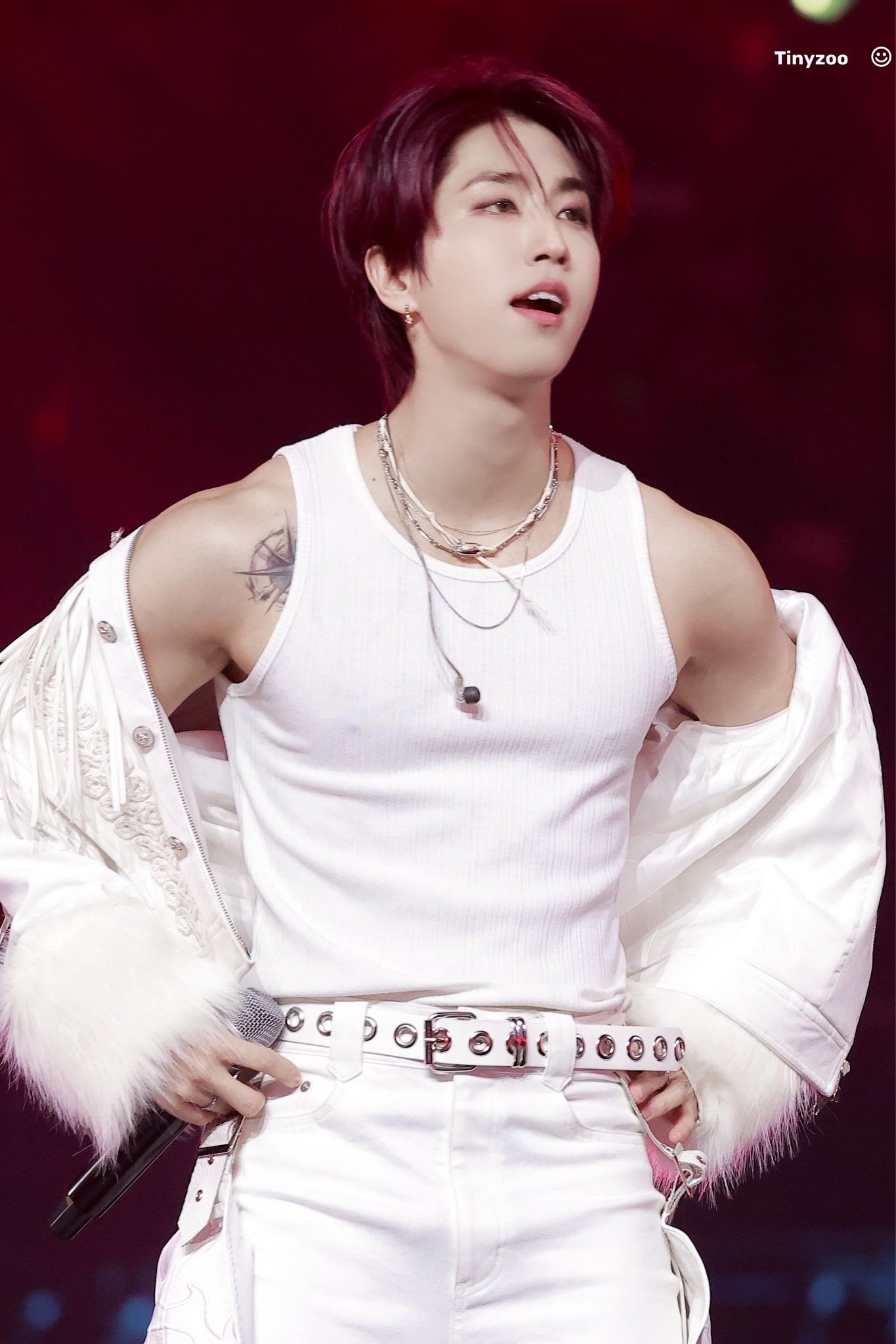 A moment captured by HAN (Stray Kids)'s fan