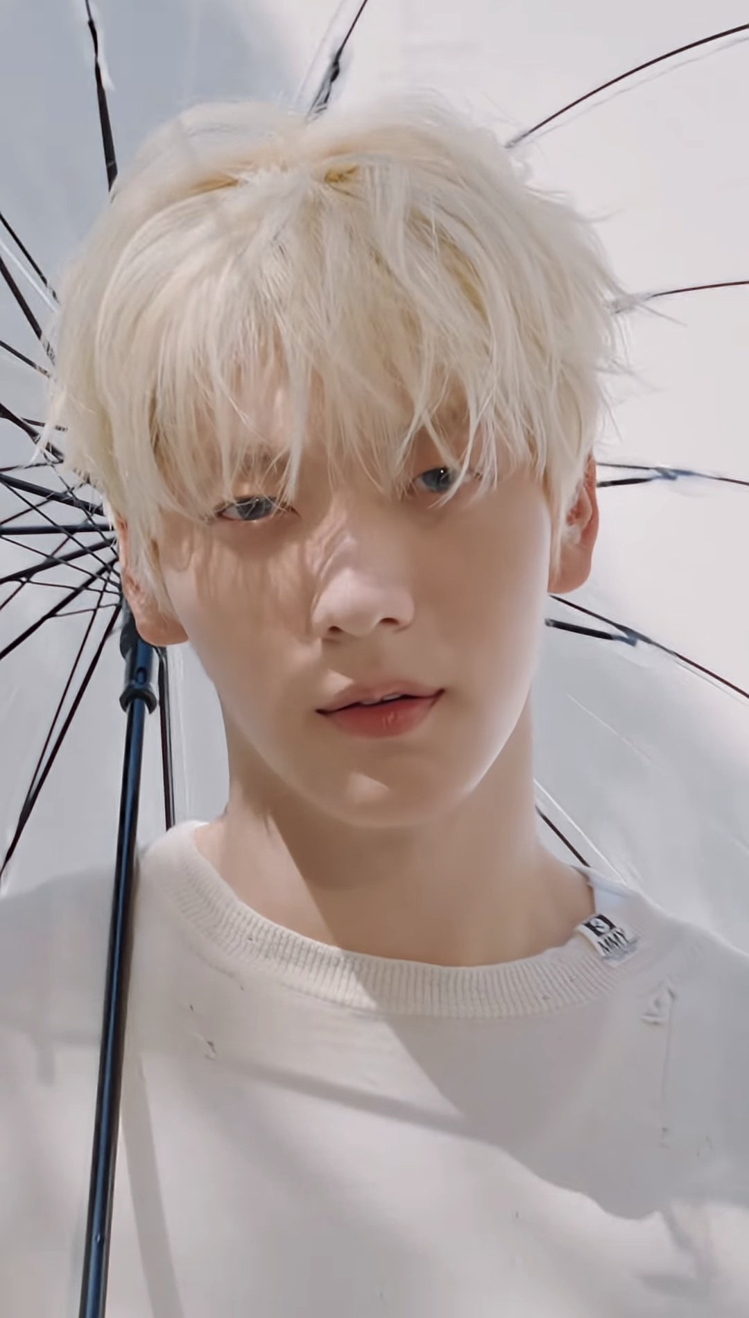 秀彬 (TOMORROW X TOGETHER)社区今天最受欢迎的壁纸