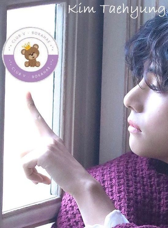 Potret di balik layar V (BTS)