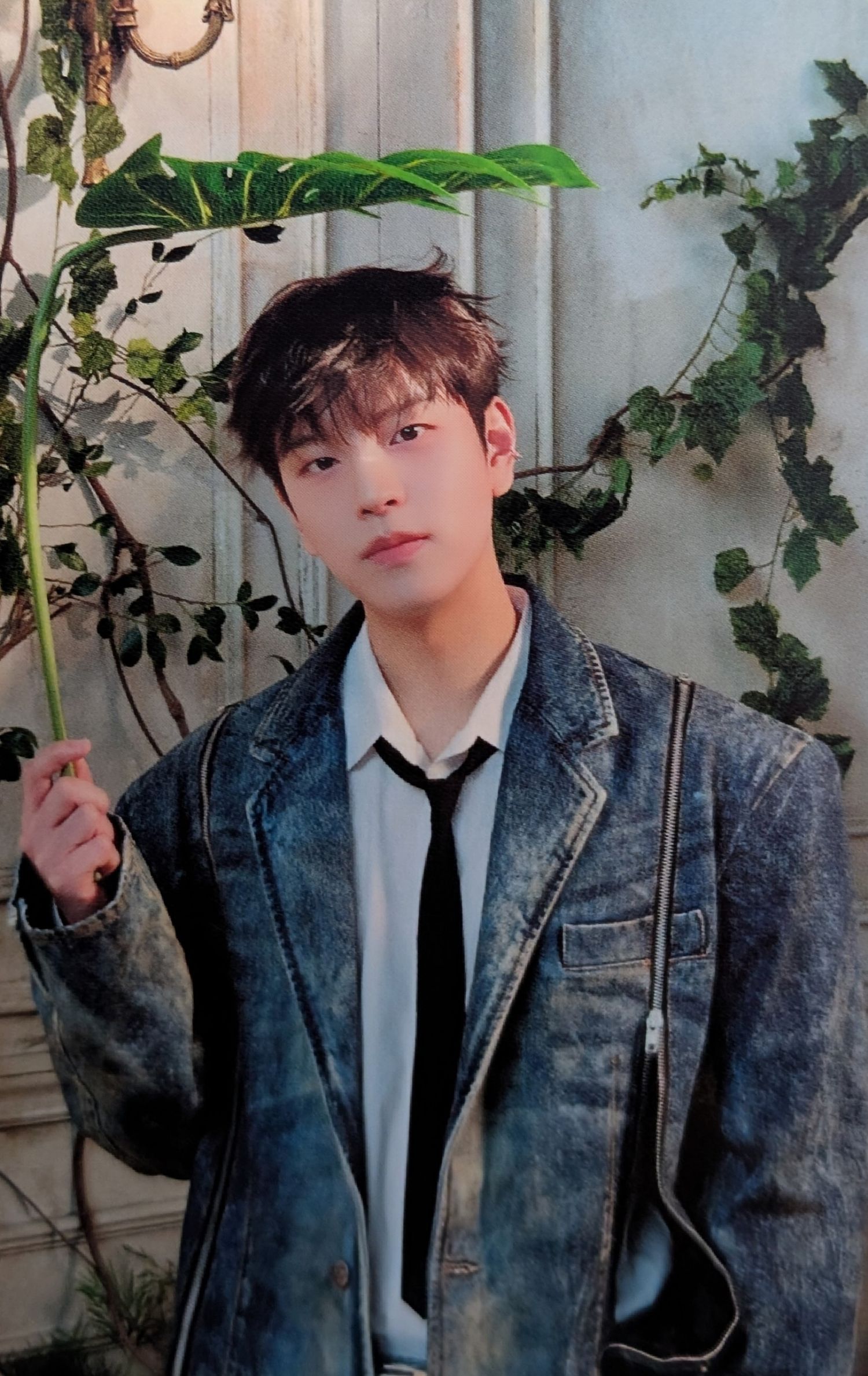 Recent activity shot of Seungmin (Stray Kids)