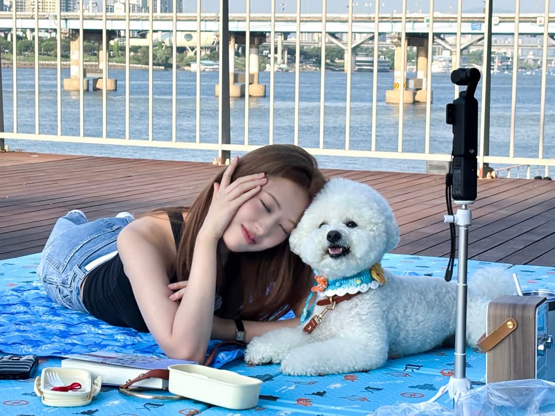 안유진 (IVE) 최근 활동샷