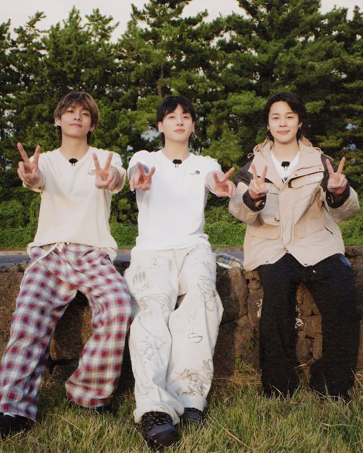 방탄소년단 팬이 찍은 순간