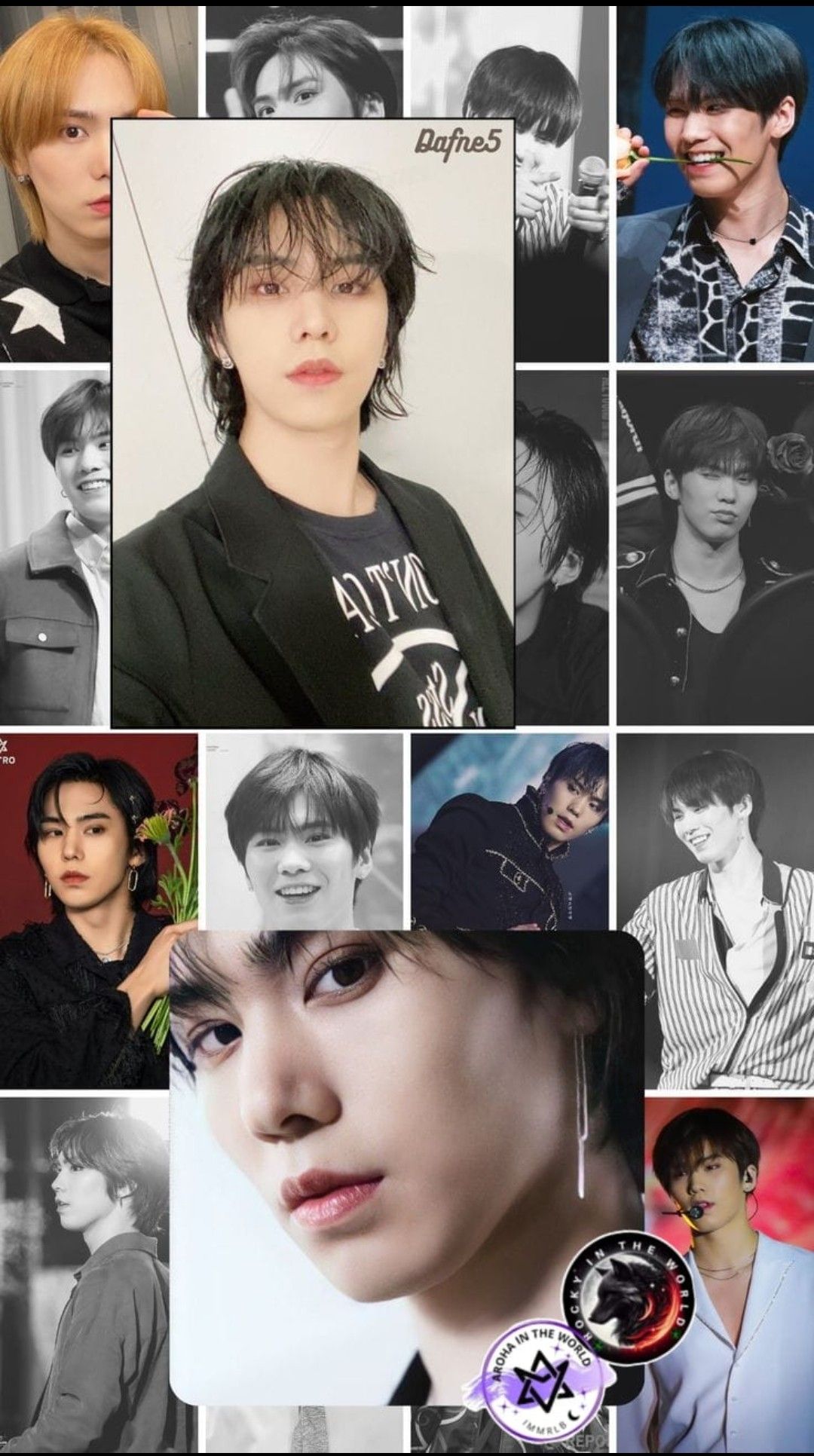 Today's most popular wallpaper in the Rocky community