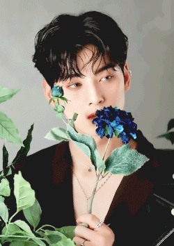 ASTROの最新写真