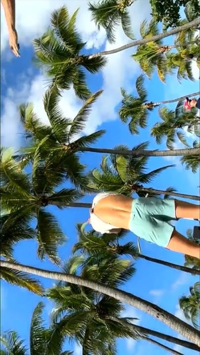 Today's hottest K-pop community feed