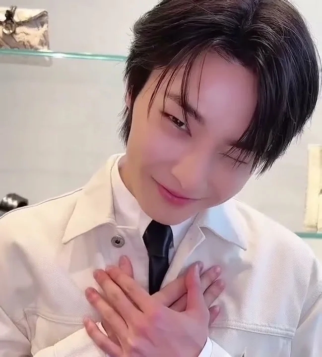 A moment captured by I.N (Stray Kids)'s fan
