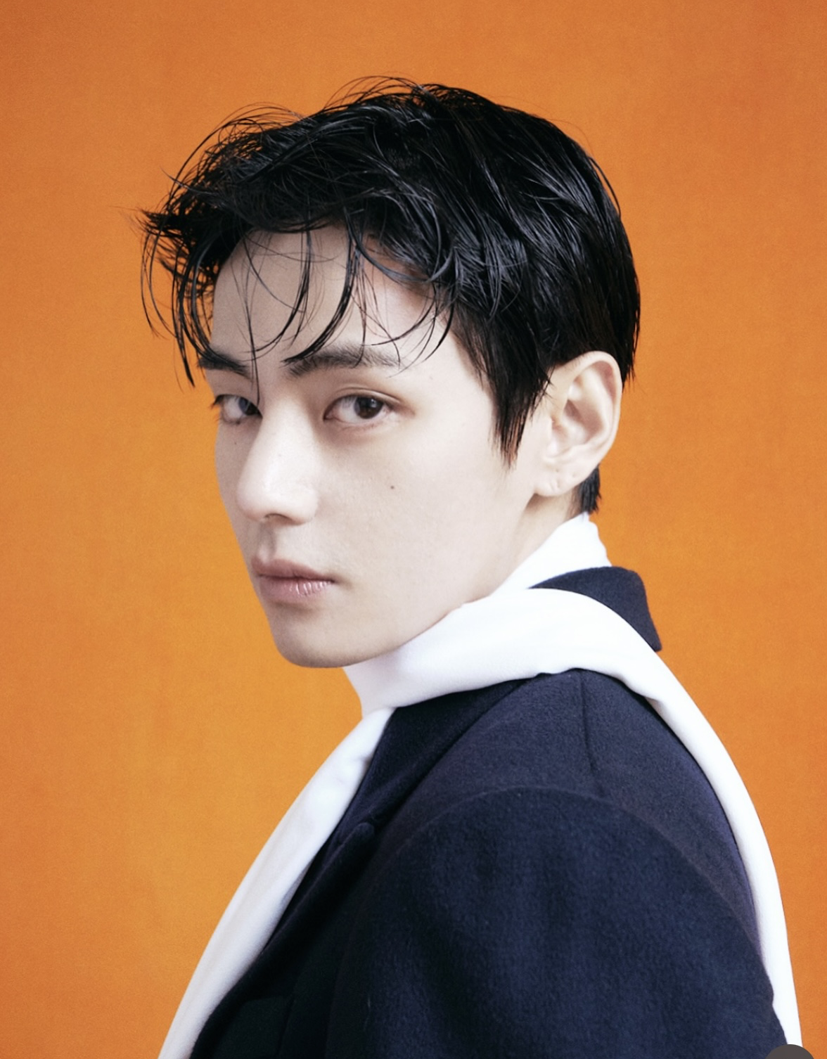 V (BTS)ファンが撮った瞬間