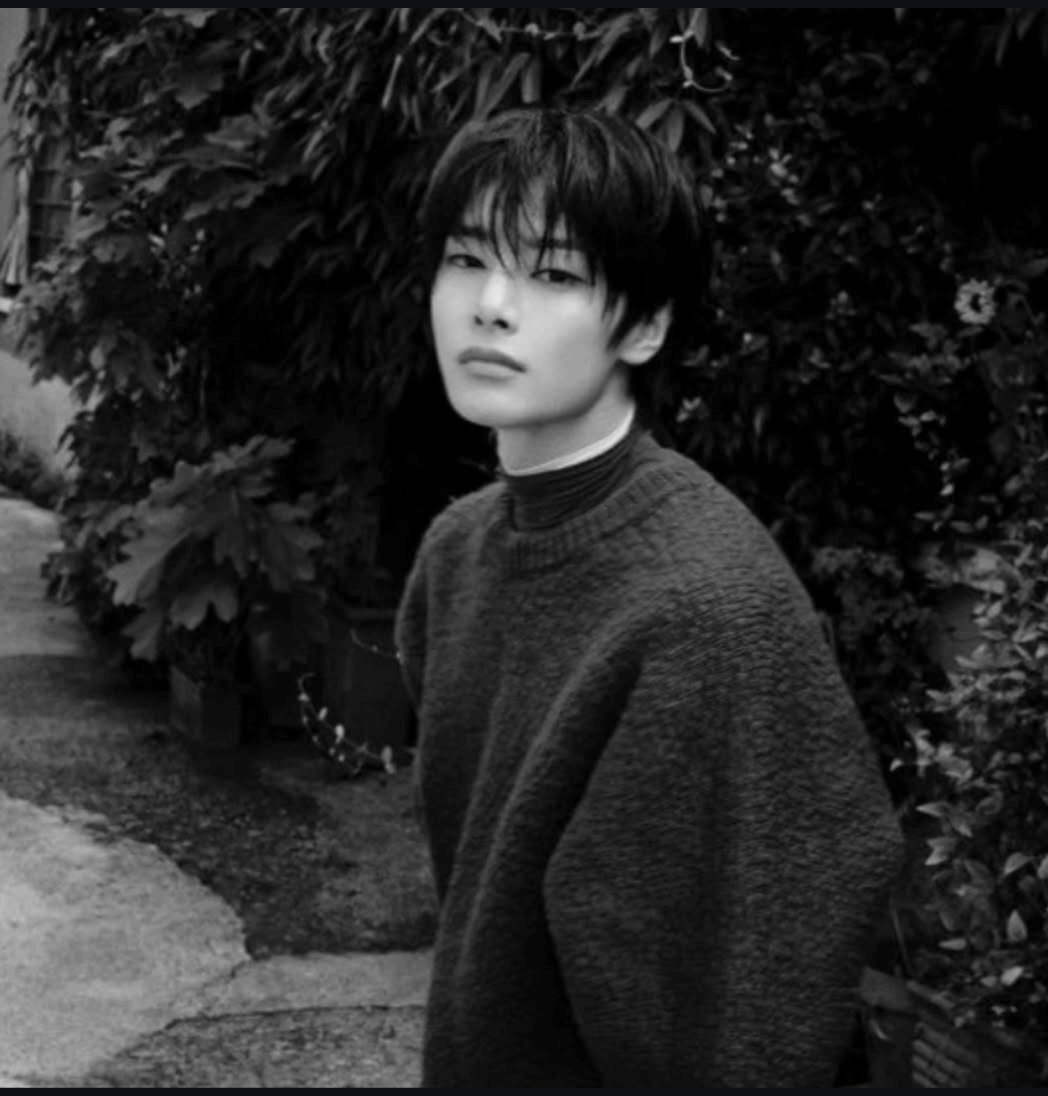 A moment captured by I.N (Stray Kids)'s fan