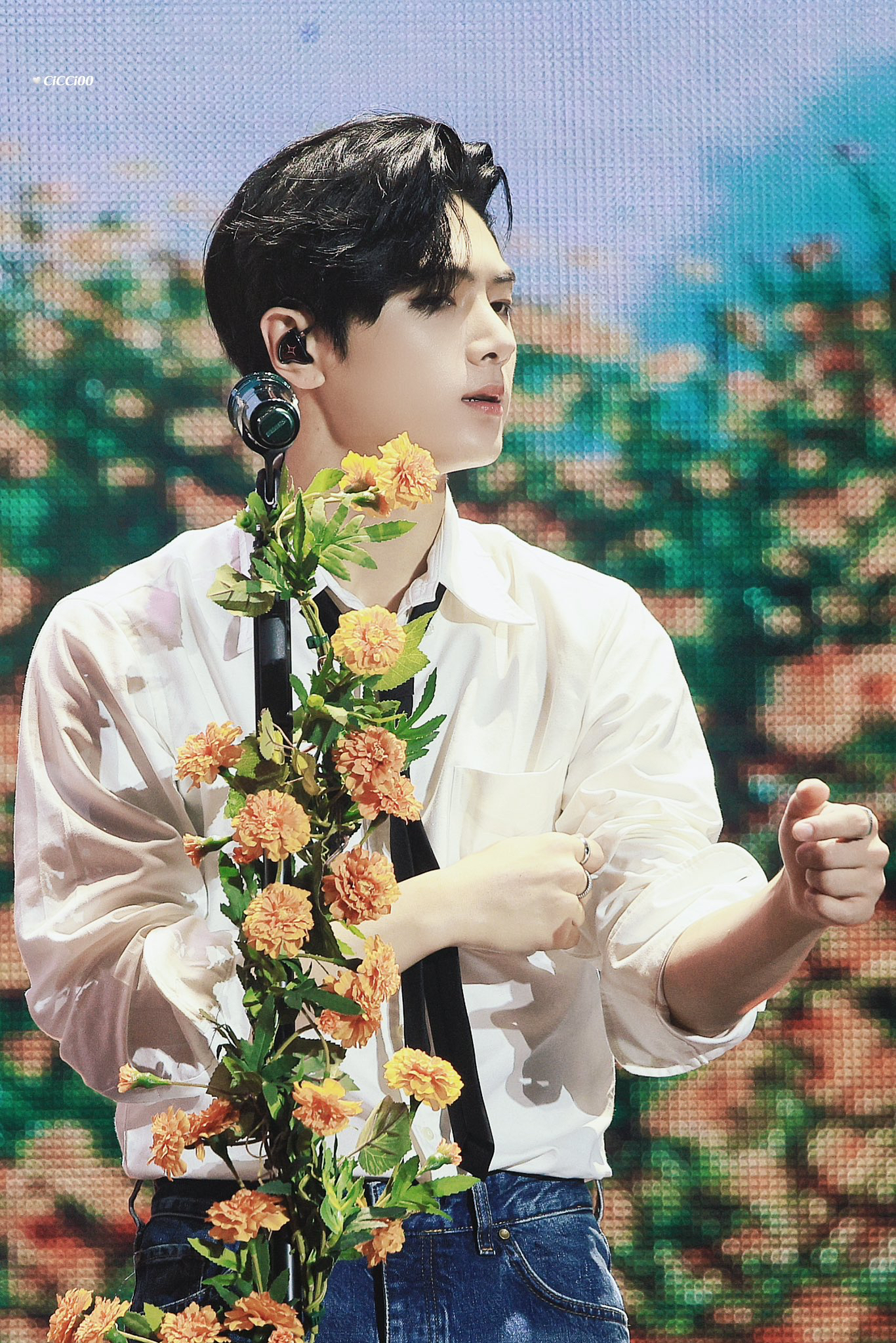 ENHYPEN粉丝拍下的瞬间