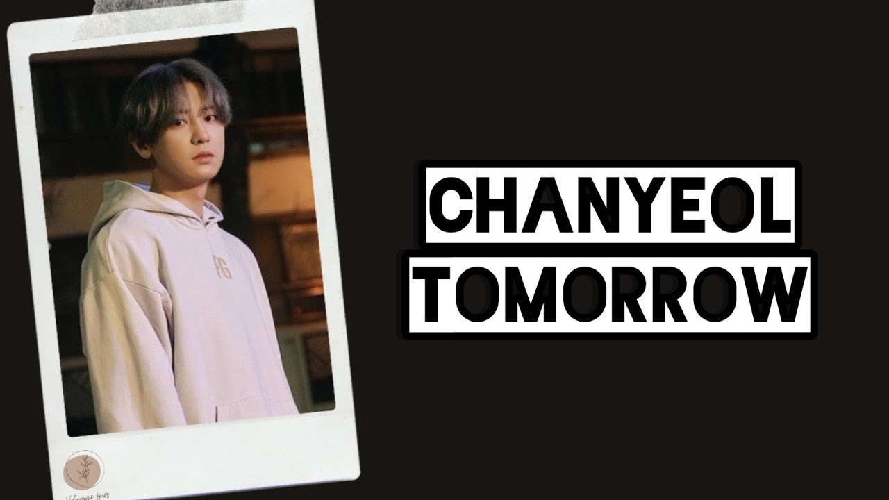 A moment captured by Chanyeol (EXO)'s fan