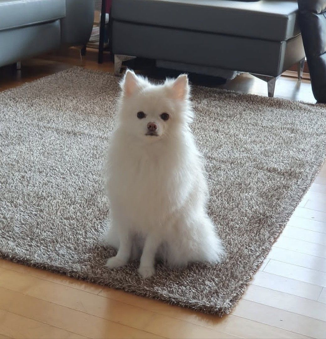 Behind-the-scenes cut of Ravn