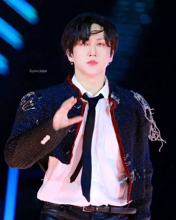 チャンビン (Stray Kids)ファンが撮った瞬間