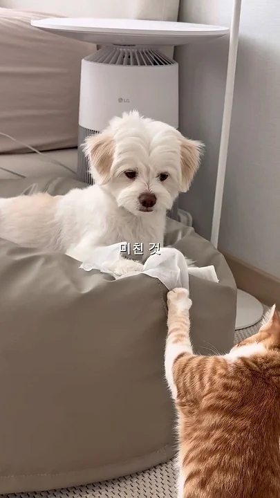 Recent activity shot of Chen (EXO)