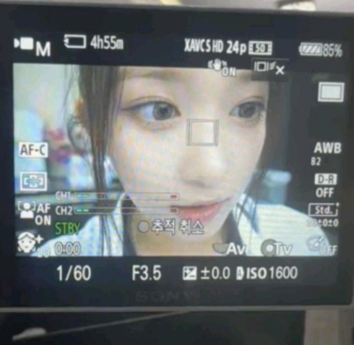 Recent activity shot of Leeseo (IVE)