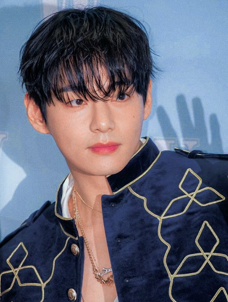 뷔 (방탄소년단) 팬이 찍은 순간