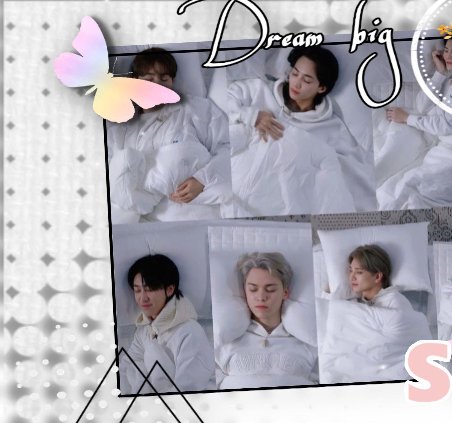 세븐틴 팬이 찍은 순간