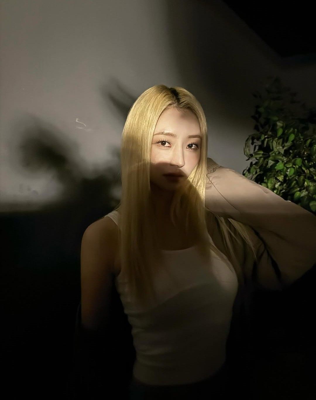 드림캐쳐 팬이 찍은 순간