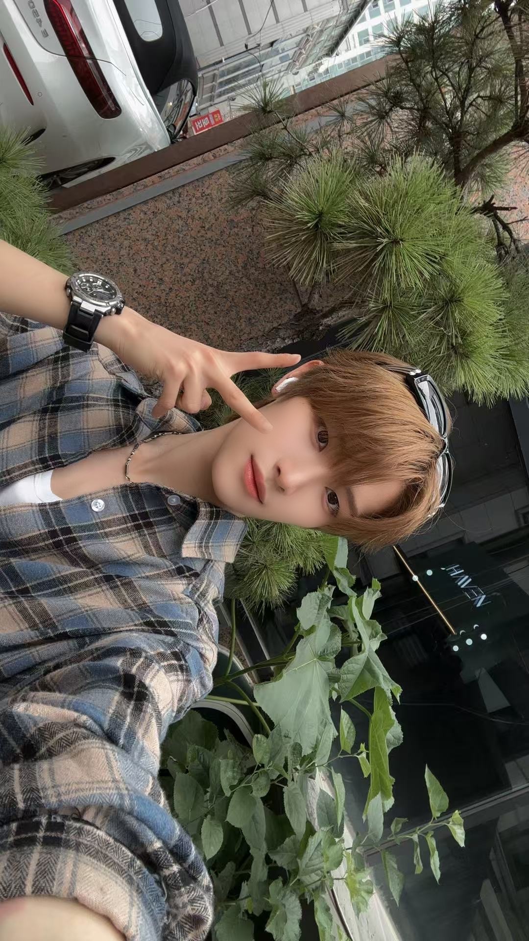 Today's most popular wallpaper in the Chen Kaiwen community